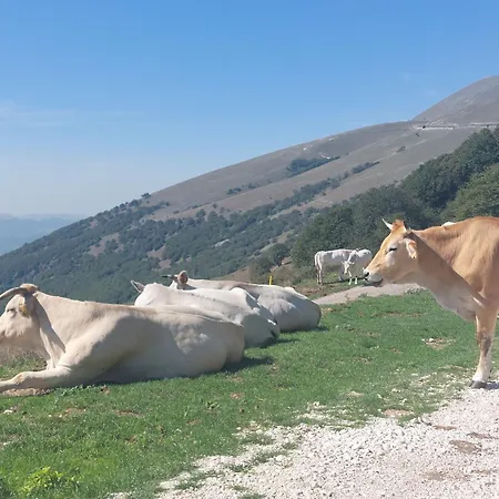 Fonte Fresca Bed & Breakfast Fabriano